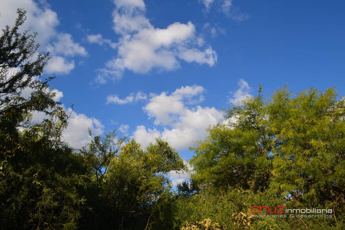 Lote de 643m2 en Carpinteria - imagen 4