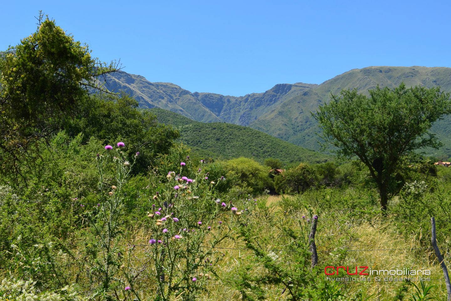 Lote de 9413m2 en Zona Alta de Los Molles