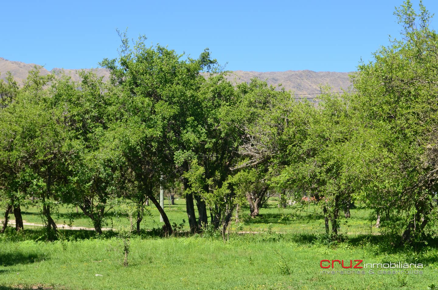 Lote Céntrico en Merlo 800m2 - imagen 12