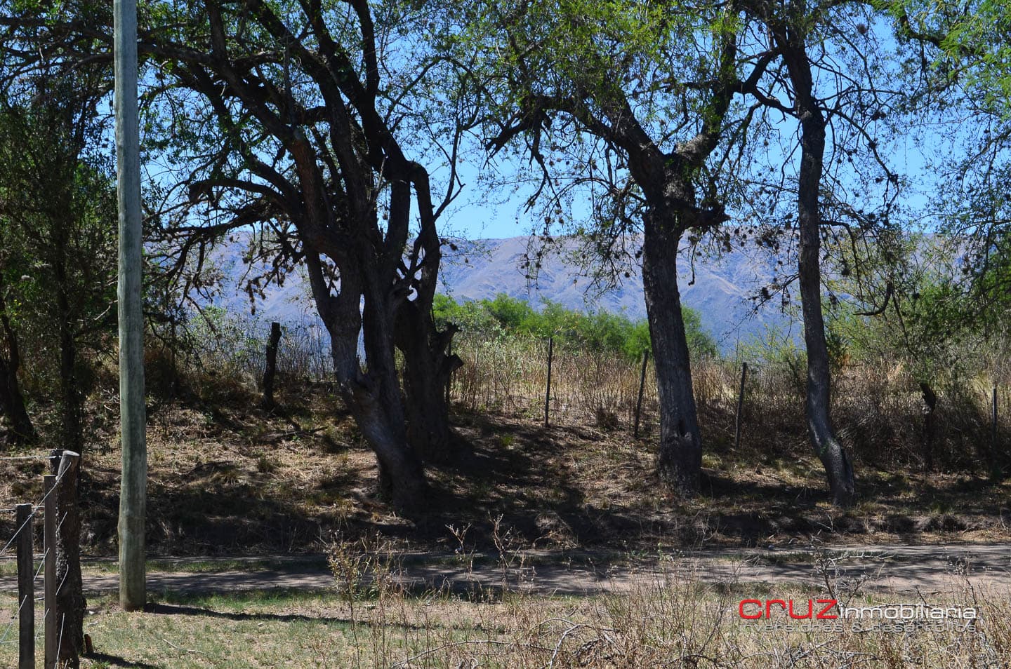 Lote de 1525m2 en Cerro de Oro – Merlo - imagen 4