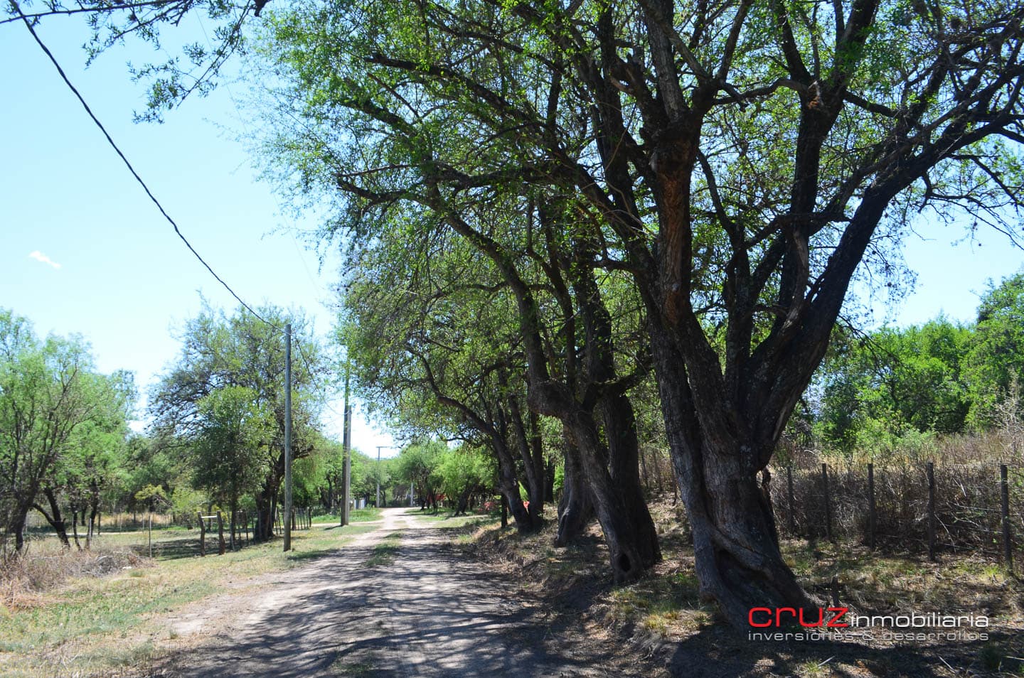 Lote de 1525m2 en Cerro de Oro – Merlo - imagen 9