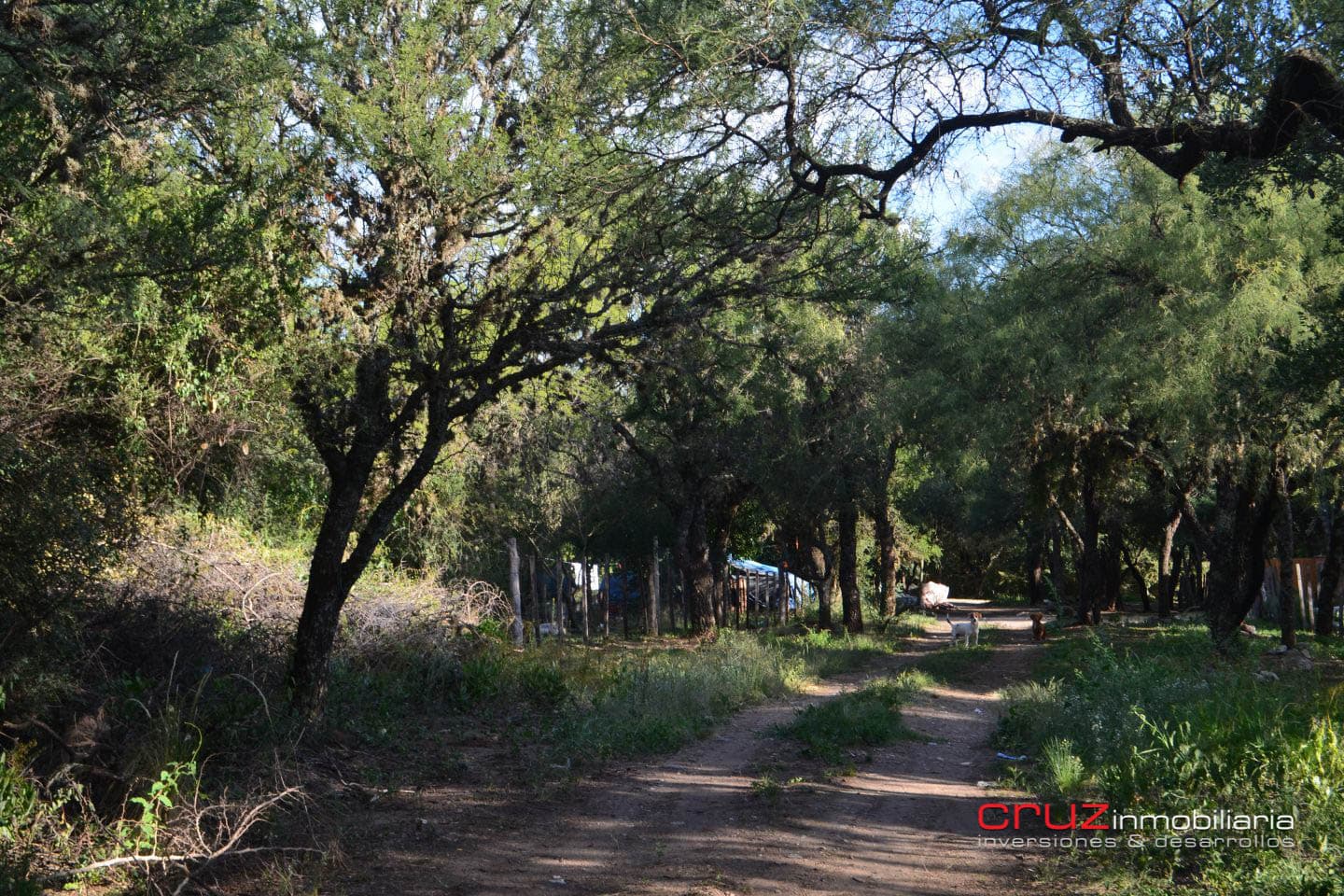 Lote de 643m2 en Carpinteria - imagen 5