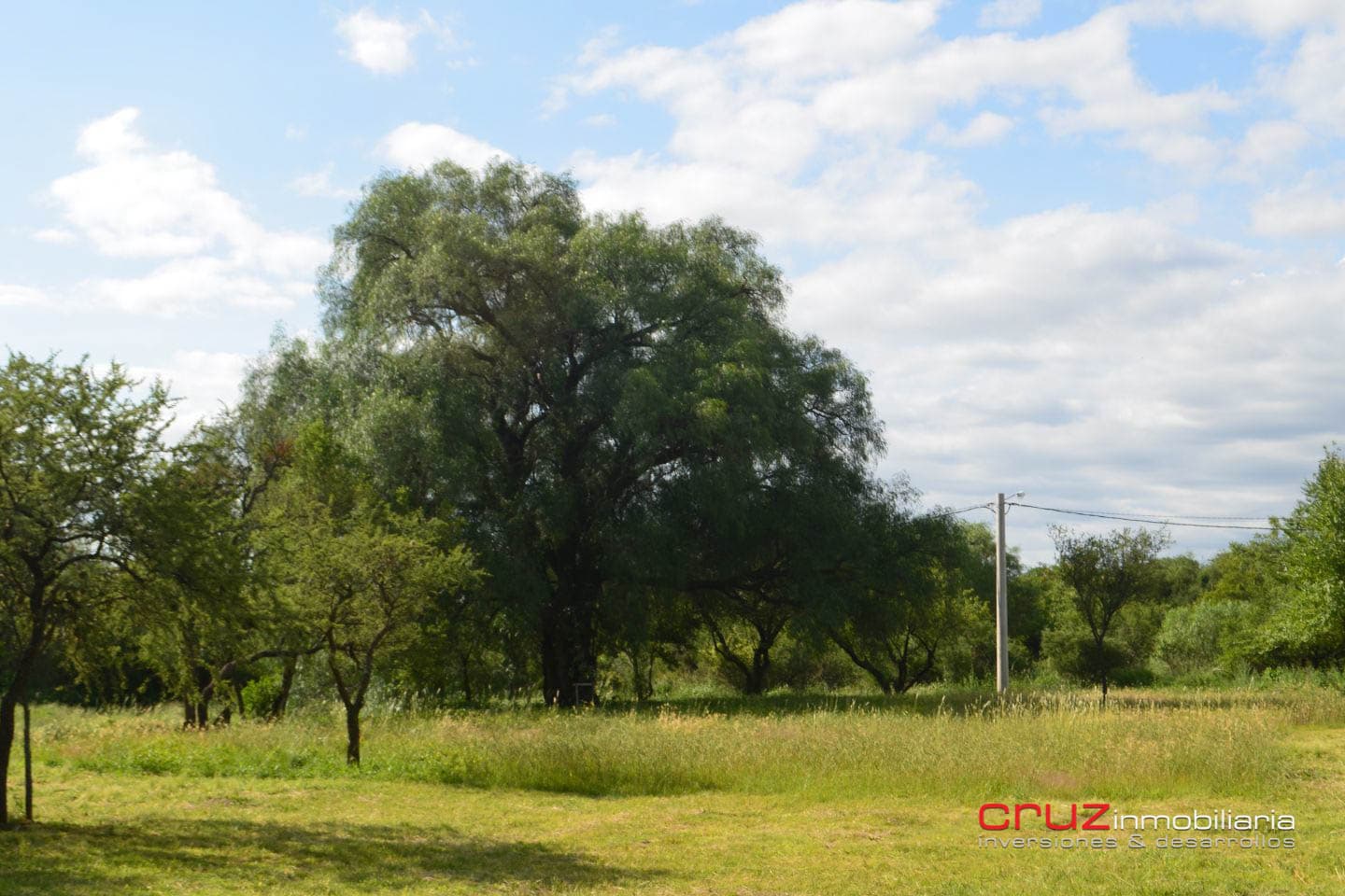 Lotes de 350m2 en Merlo - imagen 4