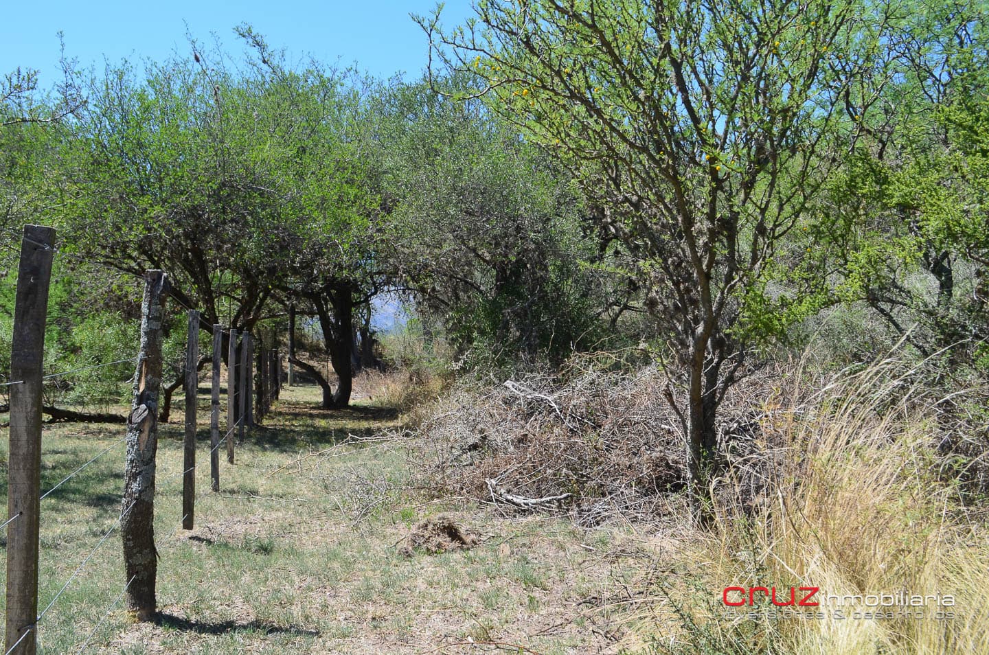 Lote de 1525m2 en Cerro de Oro – Merlo - imagen 6