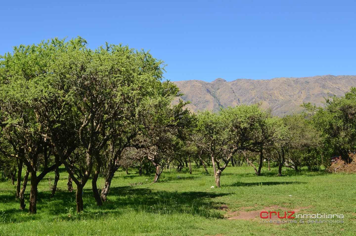 Lote Céntrico en Merlo 800m2 - imagen 9