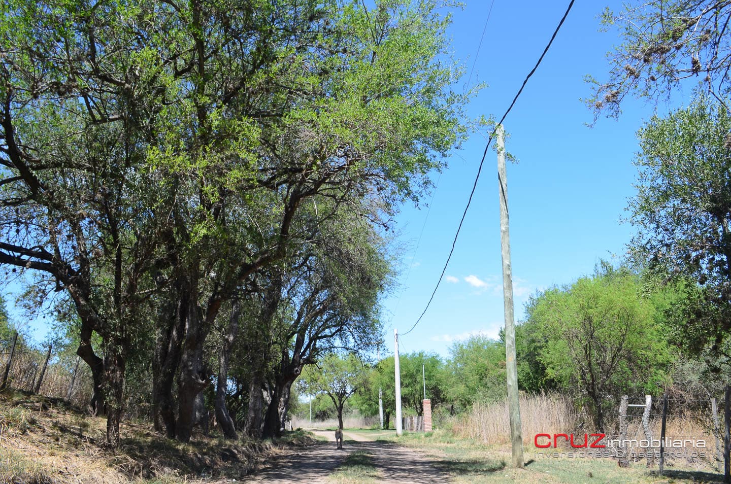 Lote de 1525m2 en Cerro de Oro – Merlo