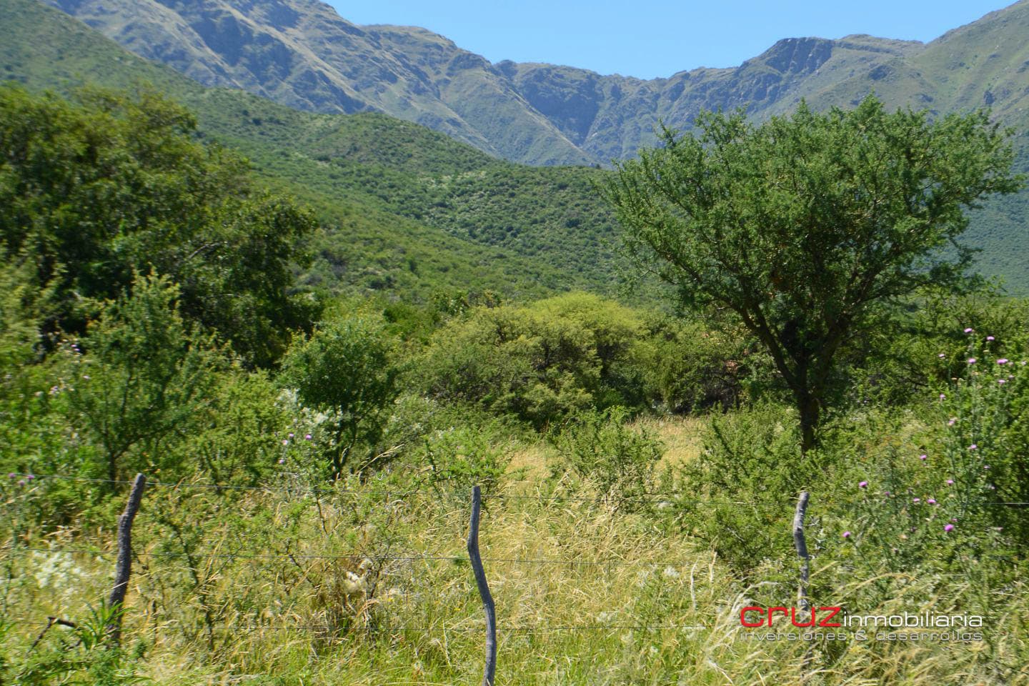 Lote de 9413m2 en Zona Alta de Los Molles - imagen 7