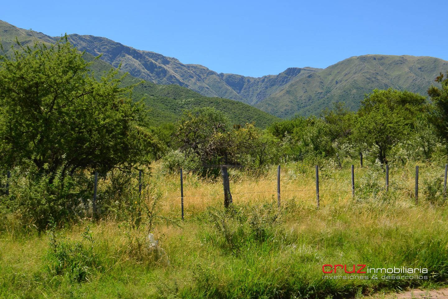 Lote de 9413m2 en Zona Alta de Los Molles - imagen 11