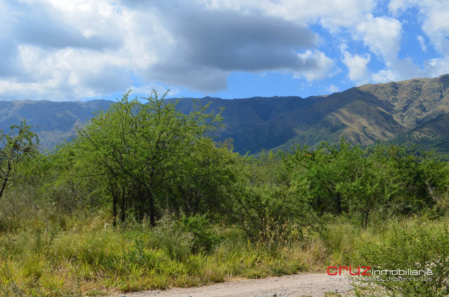 Lotes de 1130m2 en Zona Alta de Carpinteria - imagen 12