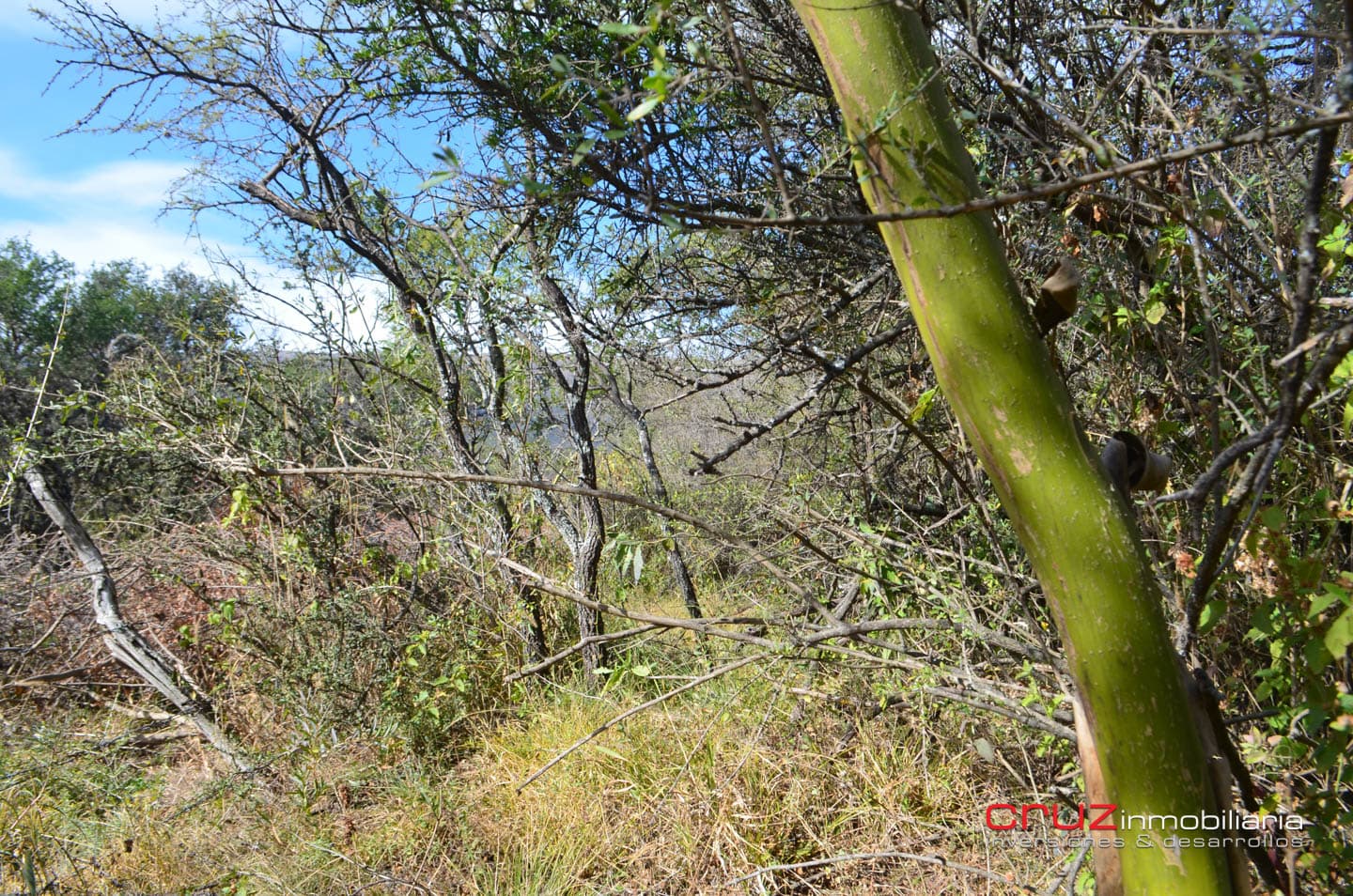 Lote de 4621m2 en Zona Alta de Los Molles