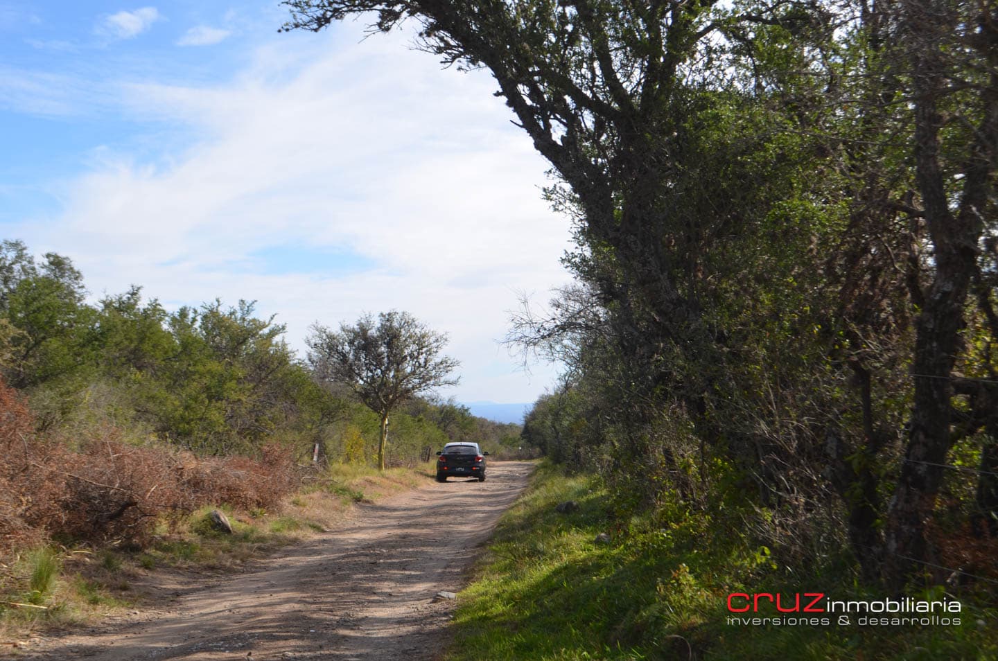 Lote de 4621m2 en Zona Alta de Los Molles - imagen 5