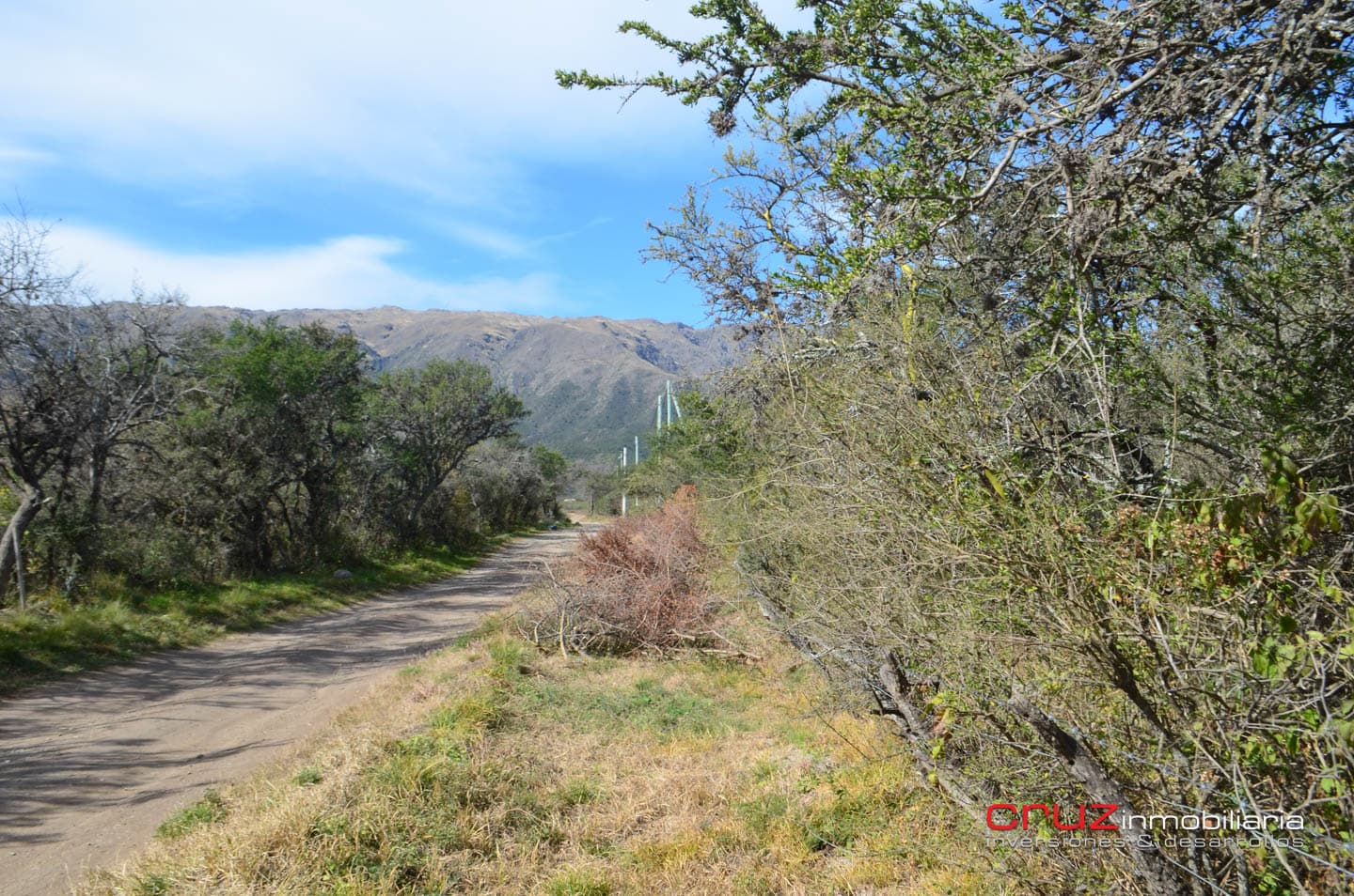 Lote de 4621m2 en Zona Alta de Los Molles - imagen 15
