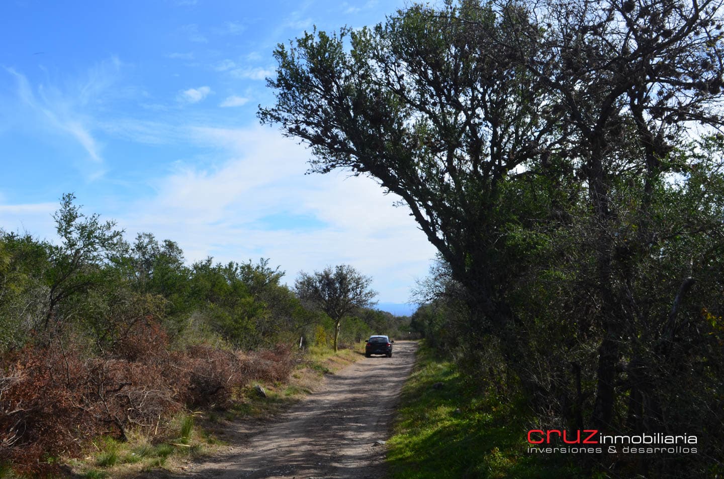 Lote de 4621m2 en Zona Alta de Los Molles - imagen 6