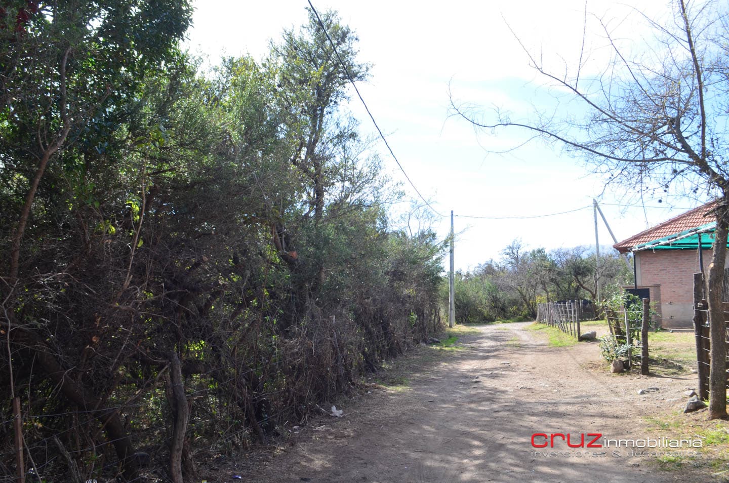 Lote de 4621m2 en Zona Alta de Los Molles - imagen 7