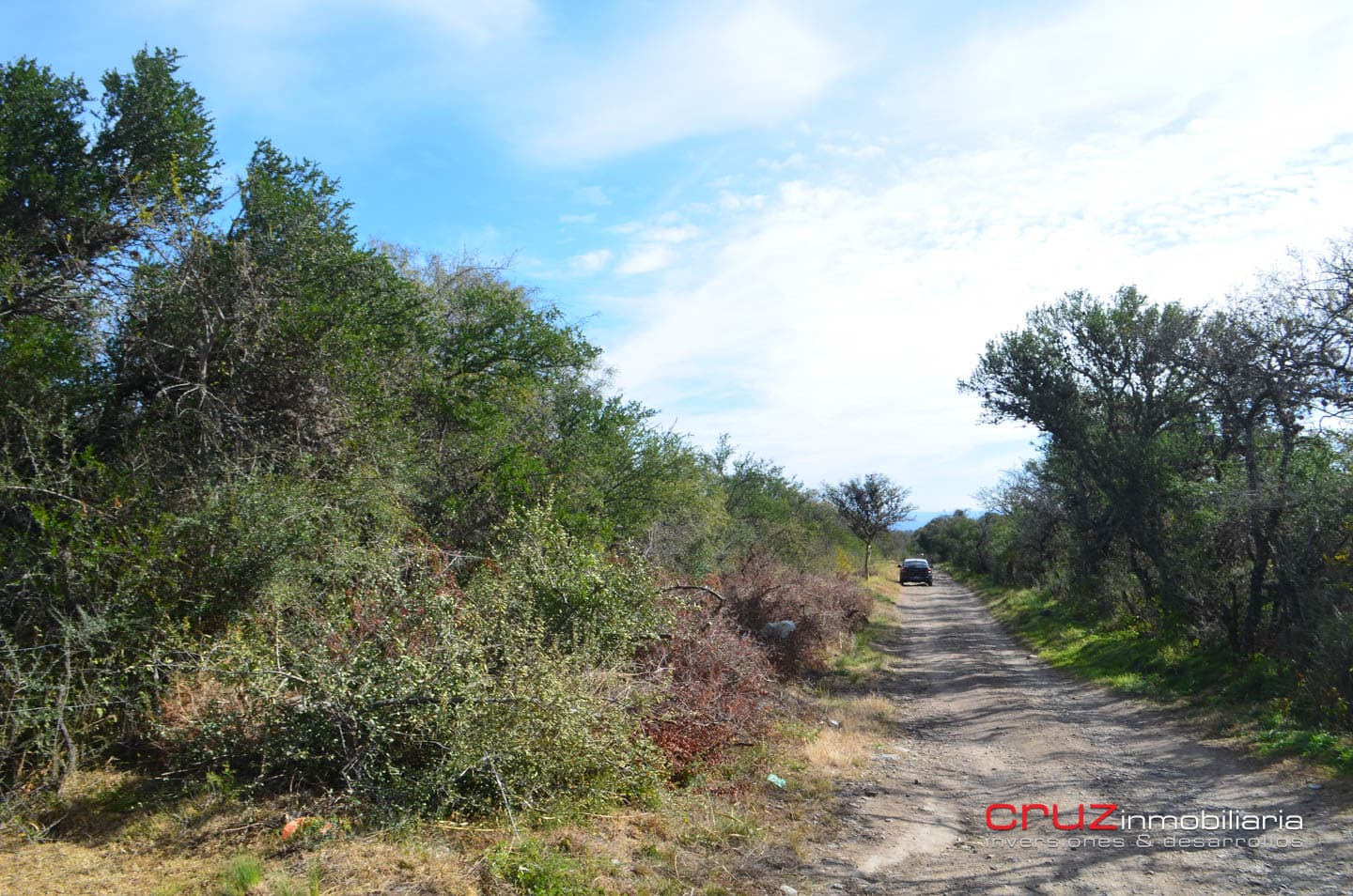 Lote de 4621m2 en Zona Alta de Los Molles - imagen 8