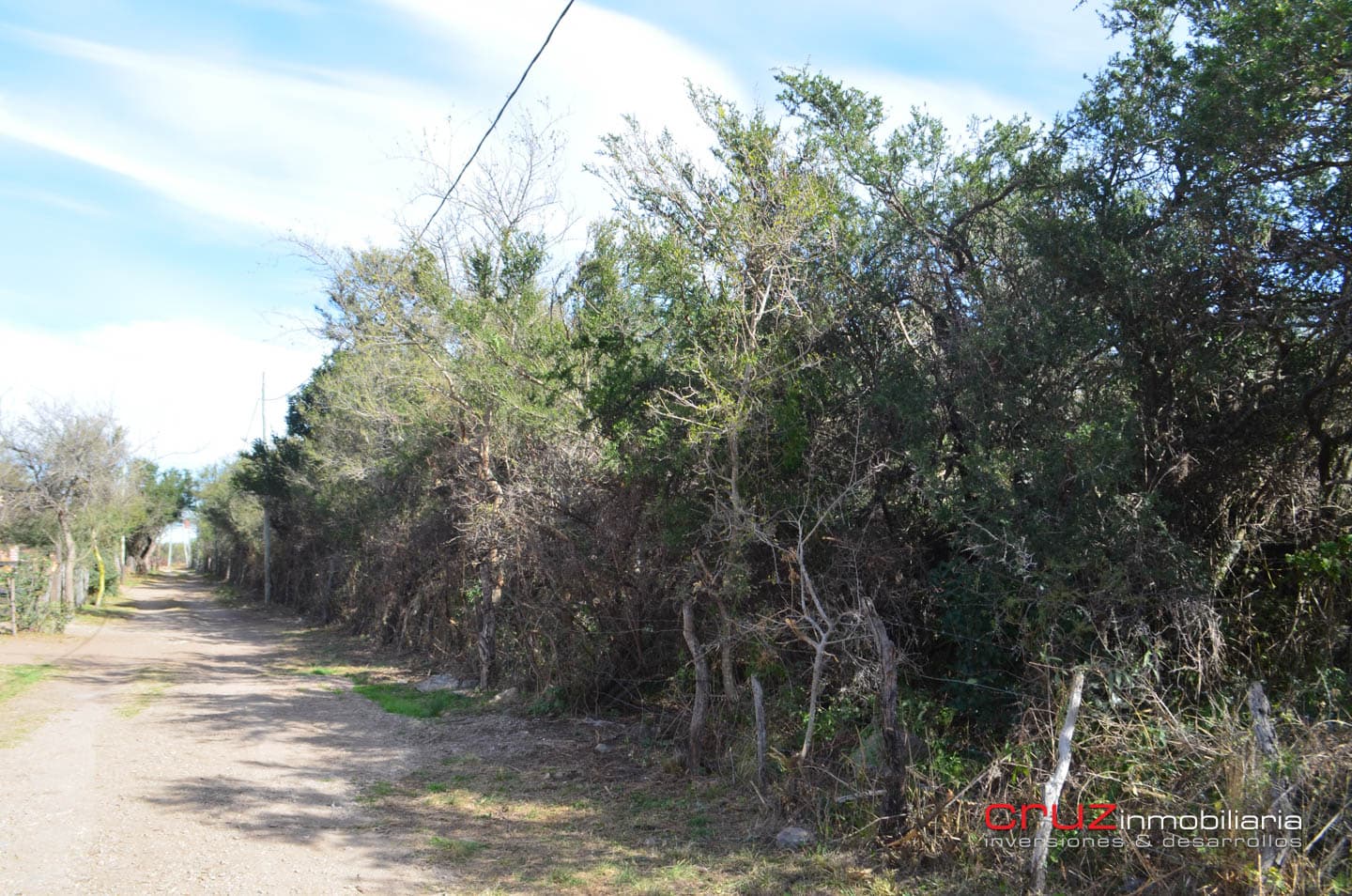 Lote de 4621m2 en Zona Alta de Los Molles - imagen 9