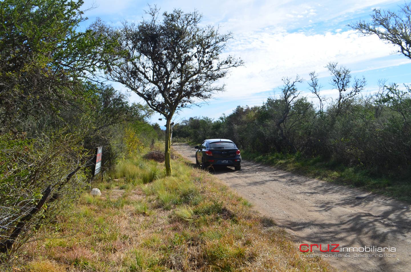Lote de 4621m2 en Zona Alta de Los Molles - imagen 10