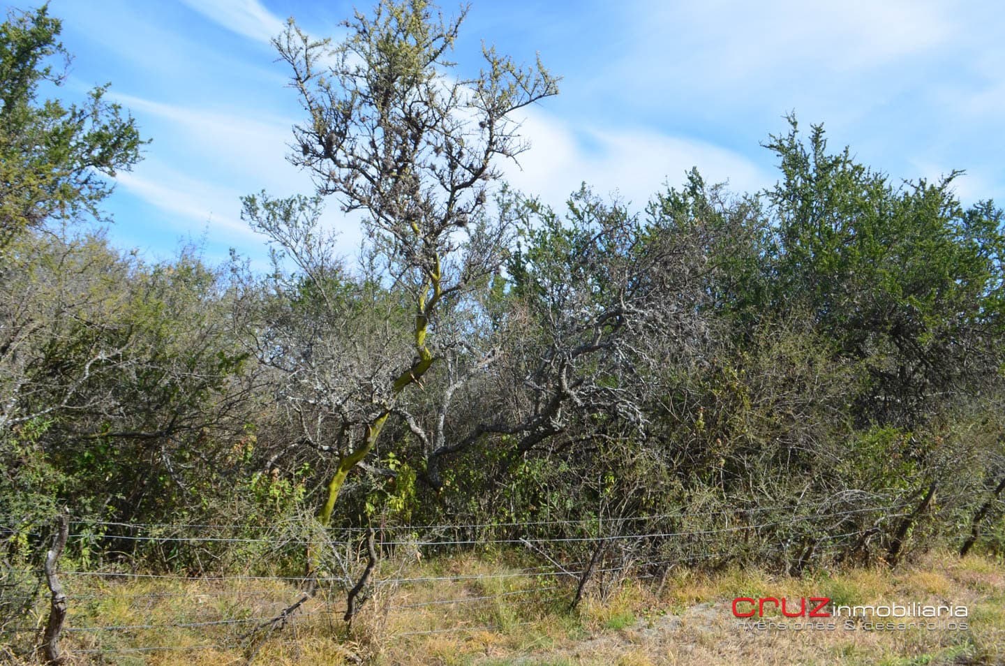 Lote de 4621m2 en Zona Alta de Los Molles - imagen 11