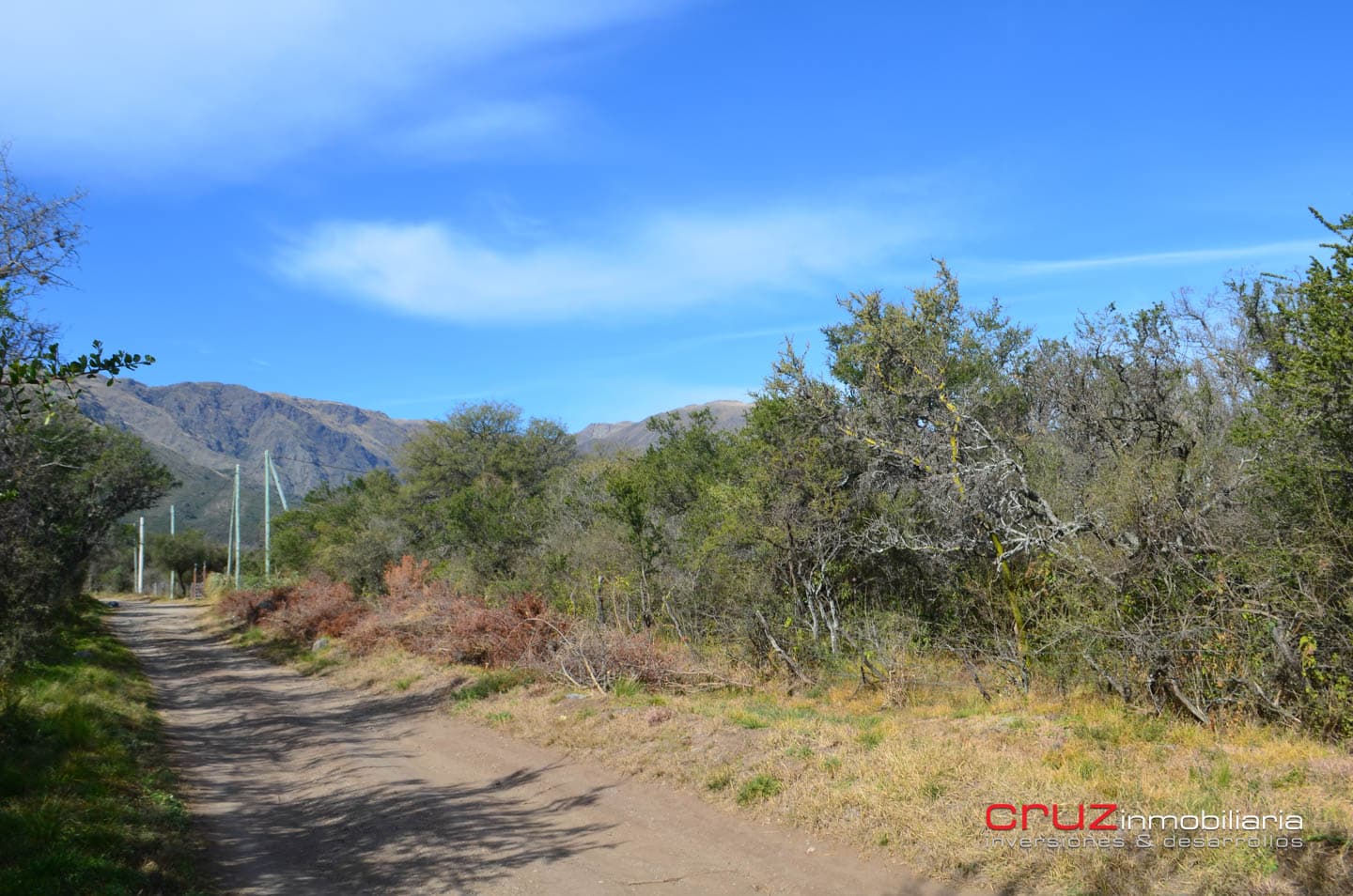 Lote de 4621m2 en Zona Alta de Los Molles - imagen 14