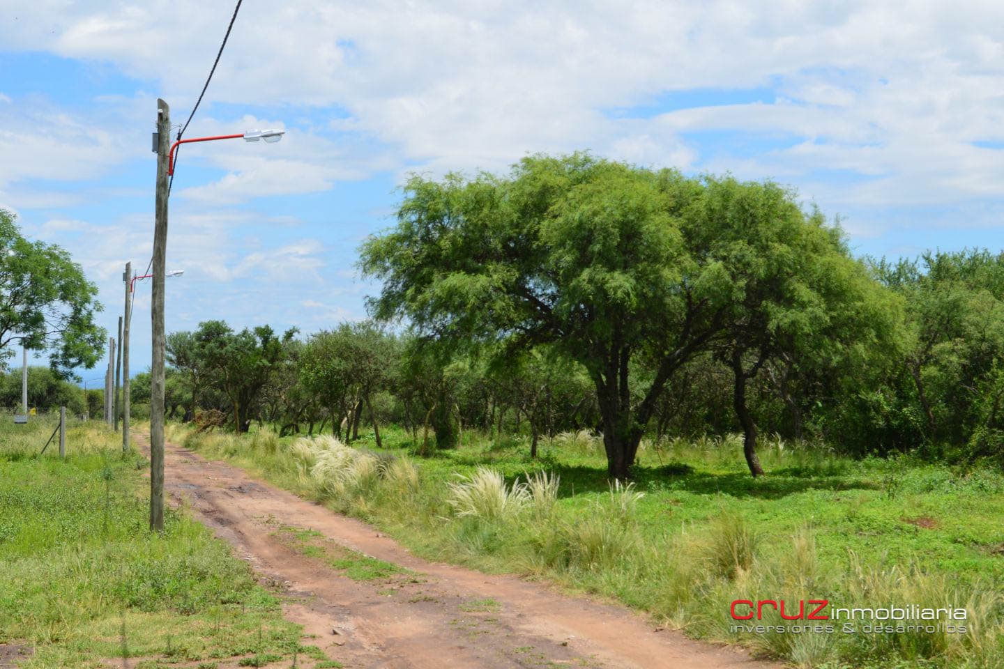 Lotes Céntricos en Carpintería