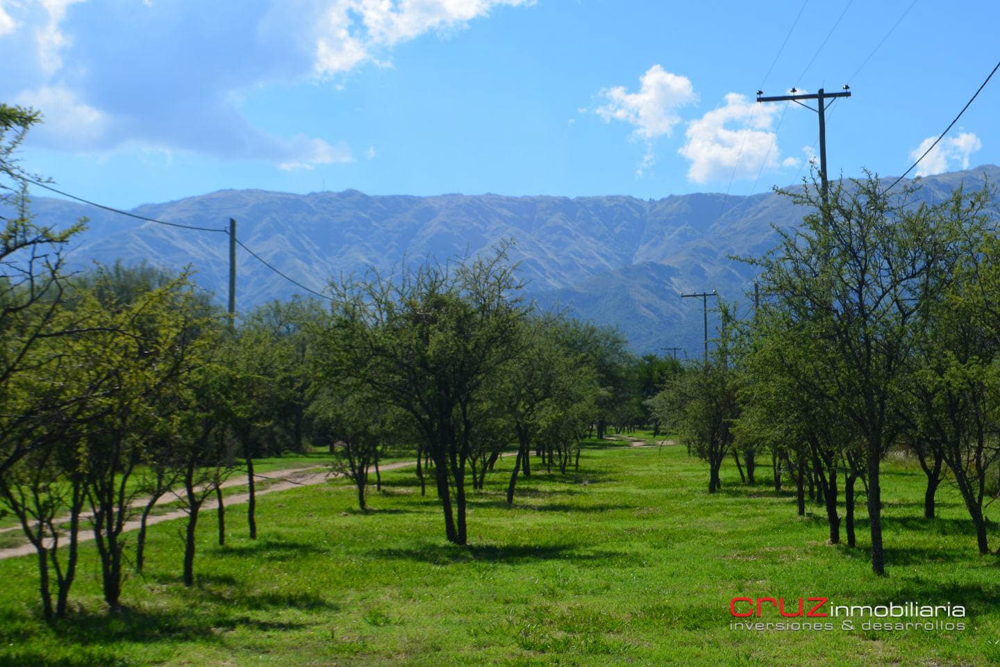 Lote de 1004m2 en Cerro de Oro – Merlo - imagen 8