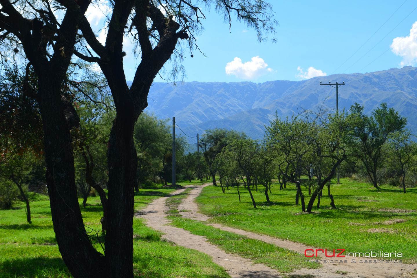 Lote de 1004m2 en Cerro de Oro – Merlo - imagen 6