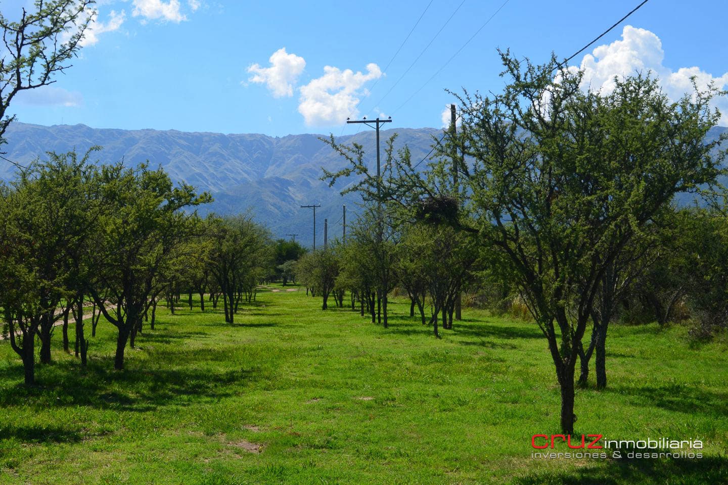 Lote de 1004m2 en Cerro de Oro – Merlo - imagen 4