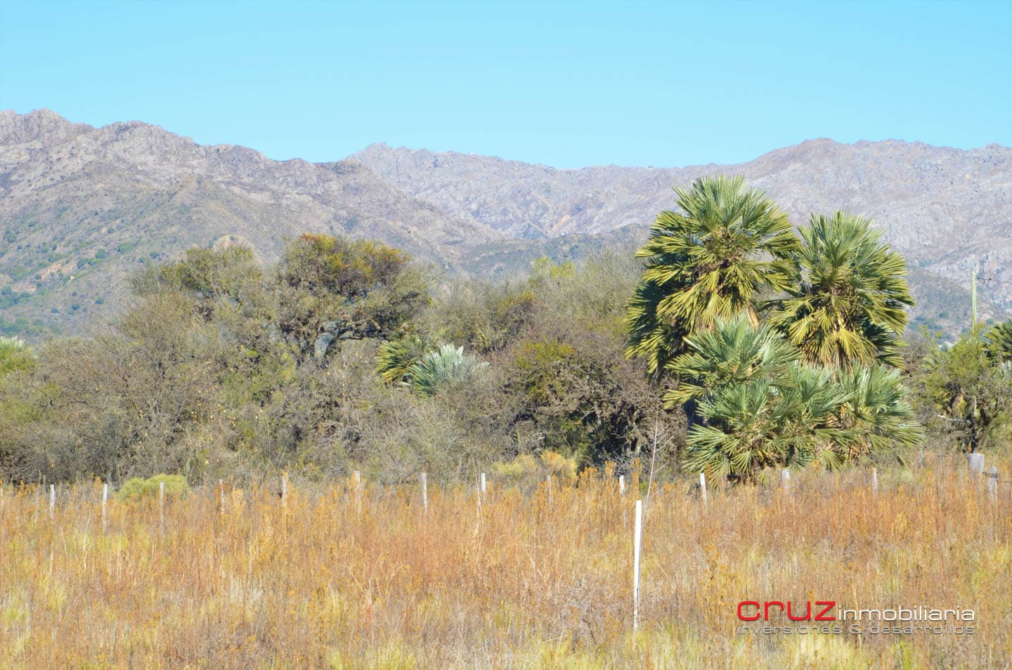 Lote de 1556m2 sobre Acceso al Dique Piscu Yaco - imagen 7