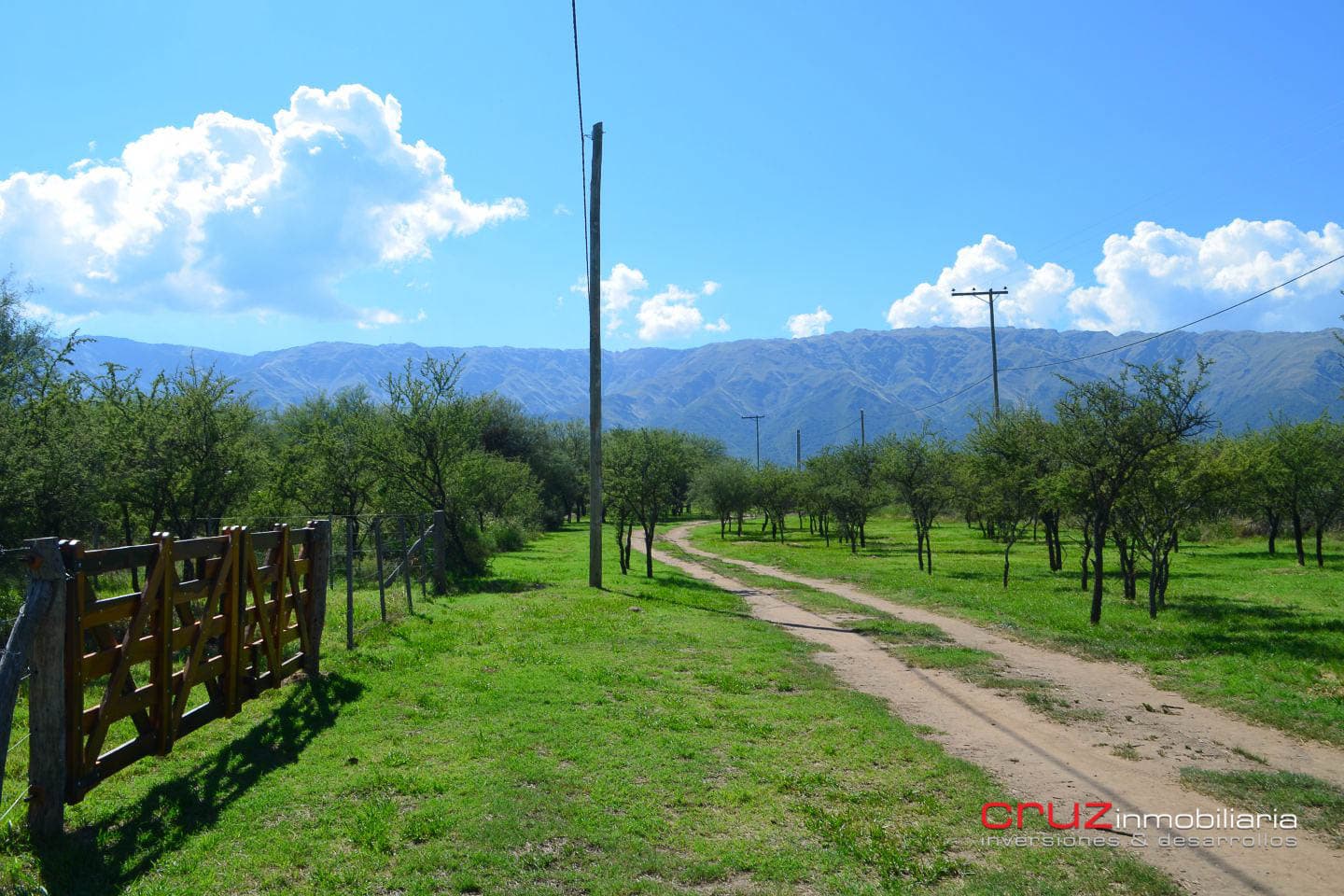 Lote de 1004m2 en Cerro de Oro – Merlo - imagen 7