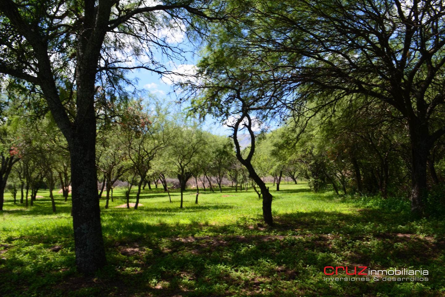 Lote de 1004m2 en Cerro de Oro – Merlo - imagen 3