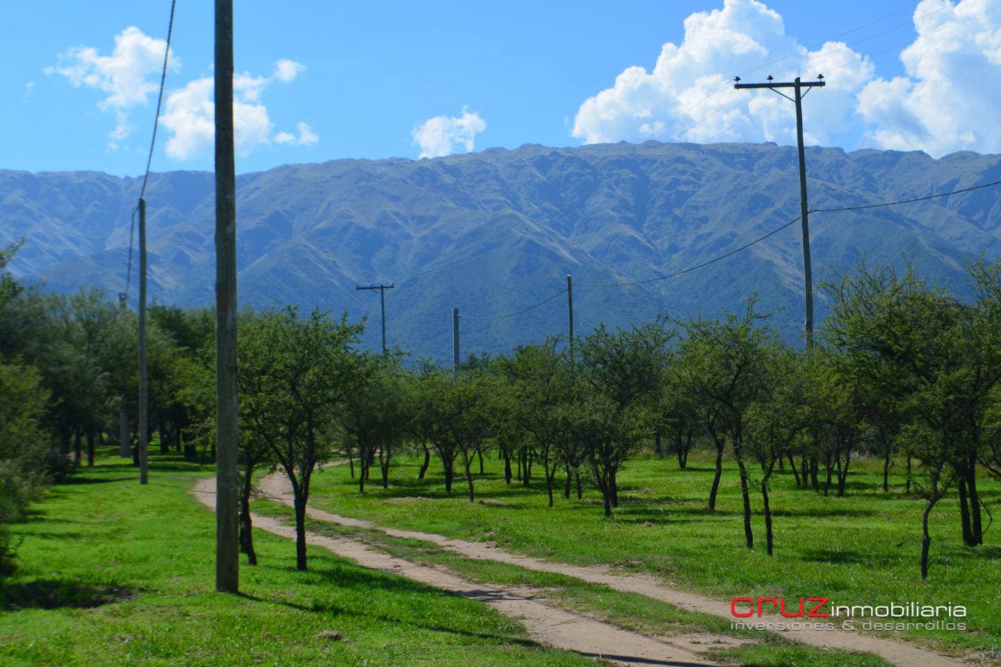 Lote de 1004m2 en Cerro de Oro – Merlo - imagen 5