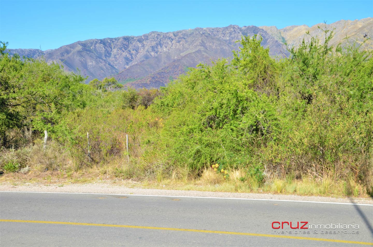 Lote de 2983m2 en Balcones de Carpintería - imagen 8