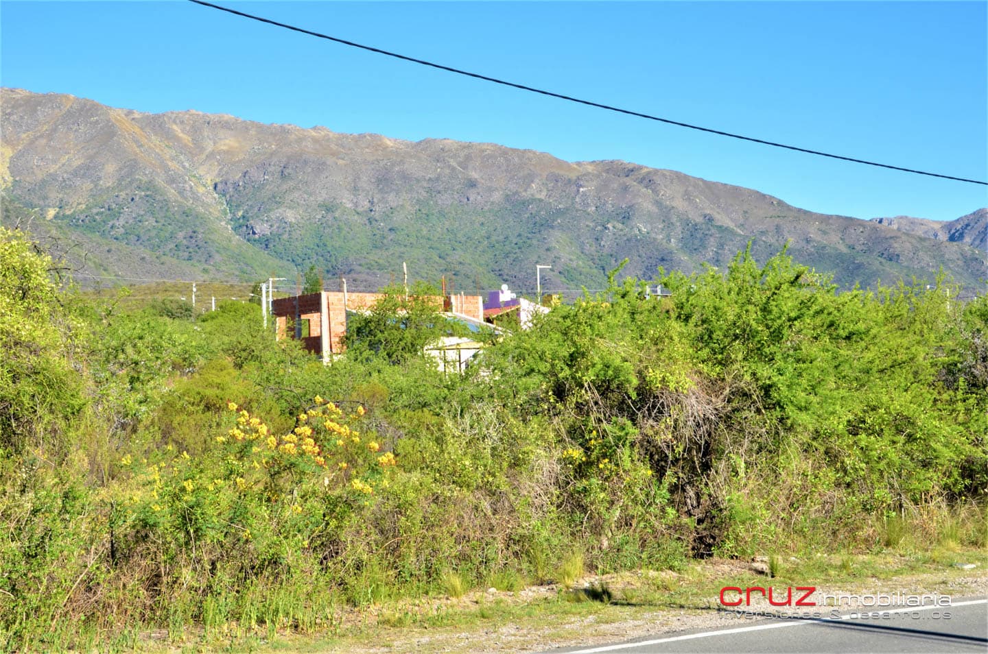 Lote de 2983m2 en Balcones de Carpintería - imagen 5