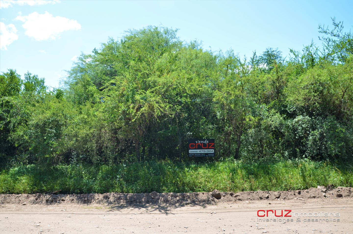 Lote de 1773m2 en Zona Alta de Carpintería - imagen 7