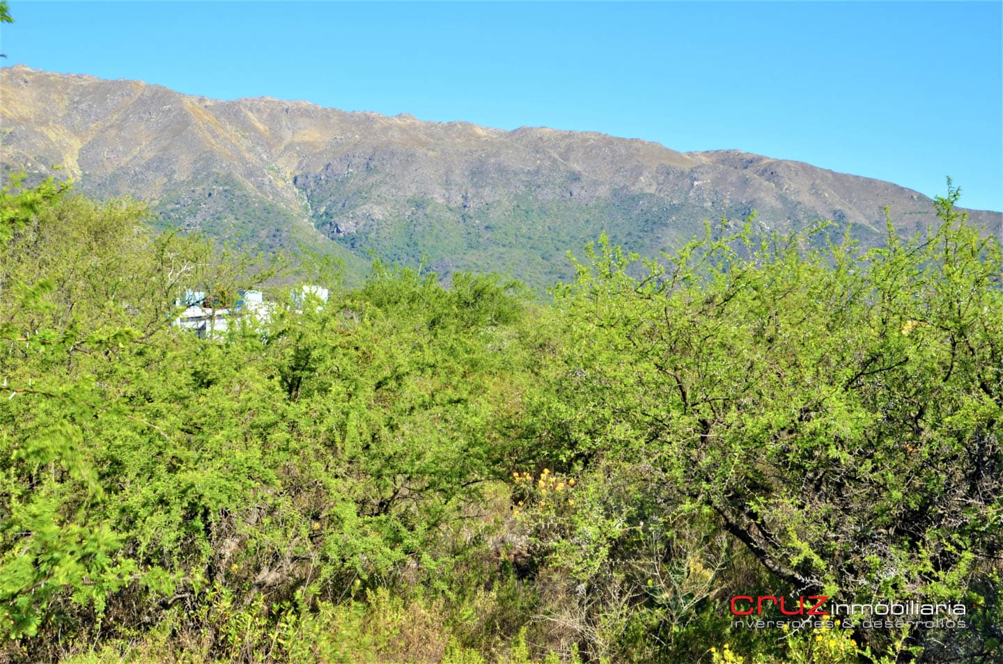 Lote de 2983m2 en Balcones de Carpintería - imagen 10