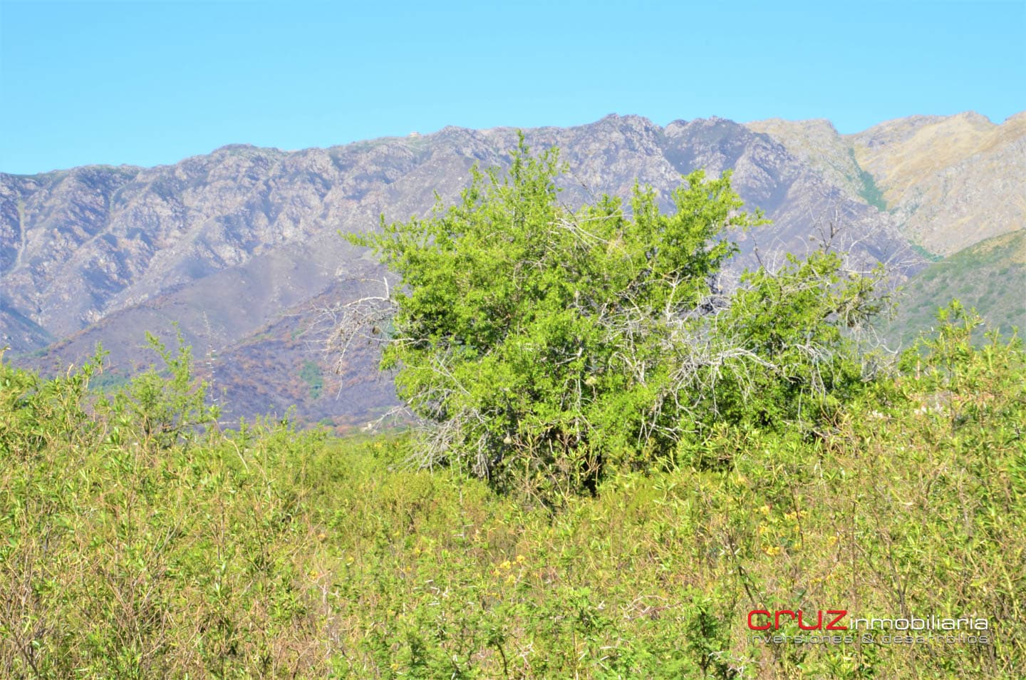 Lote de 2983m2 en Balcones de Carpintería - imagen 7