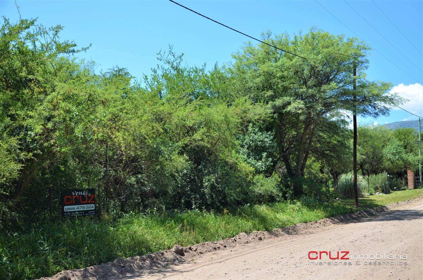 Lote de 1773m2 en Zona Alta de Carpintería - imagen 6