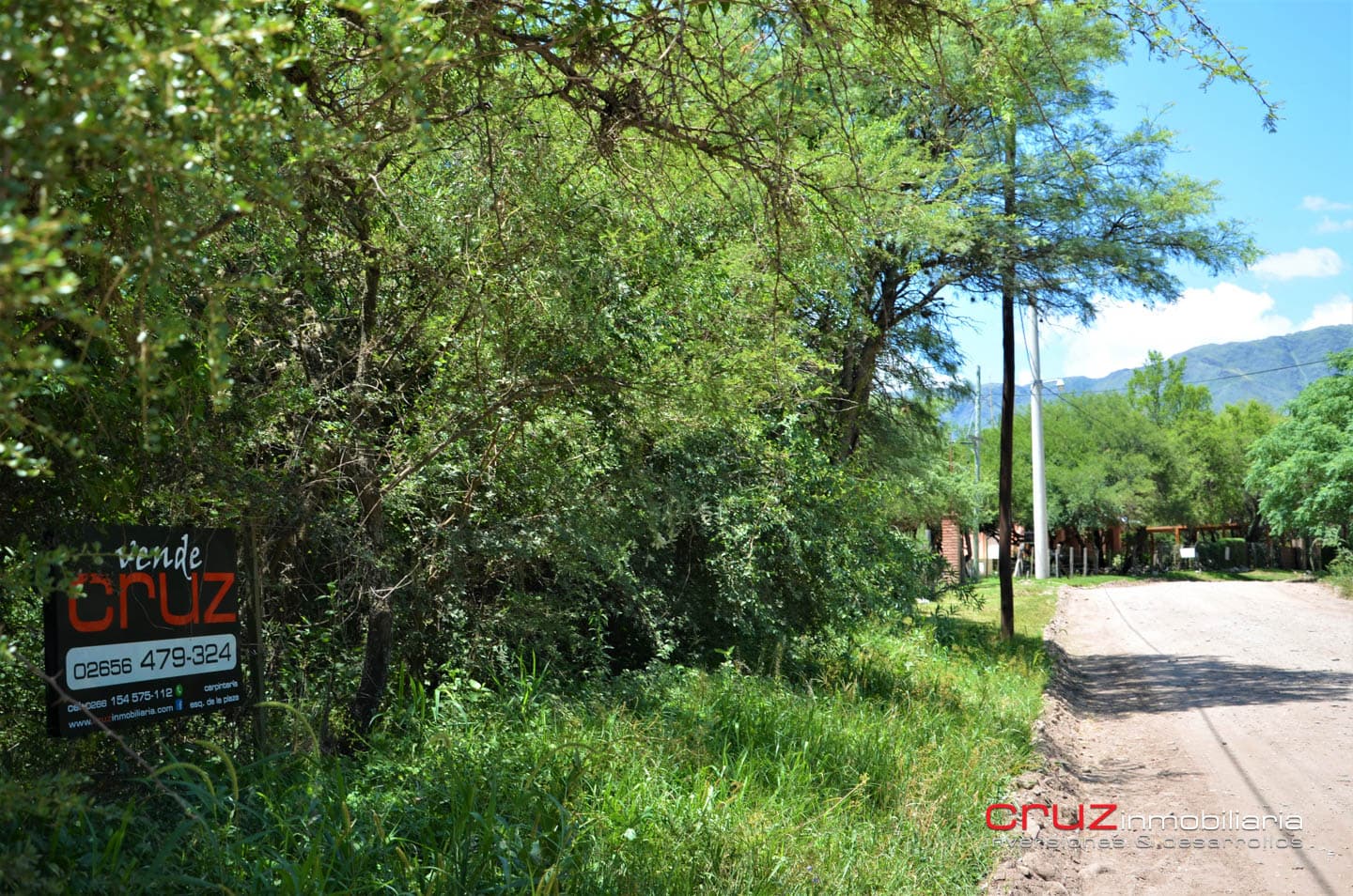 Lote de 1773m2 en Zona Alta de Carpintería - imagen 5