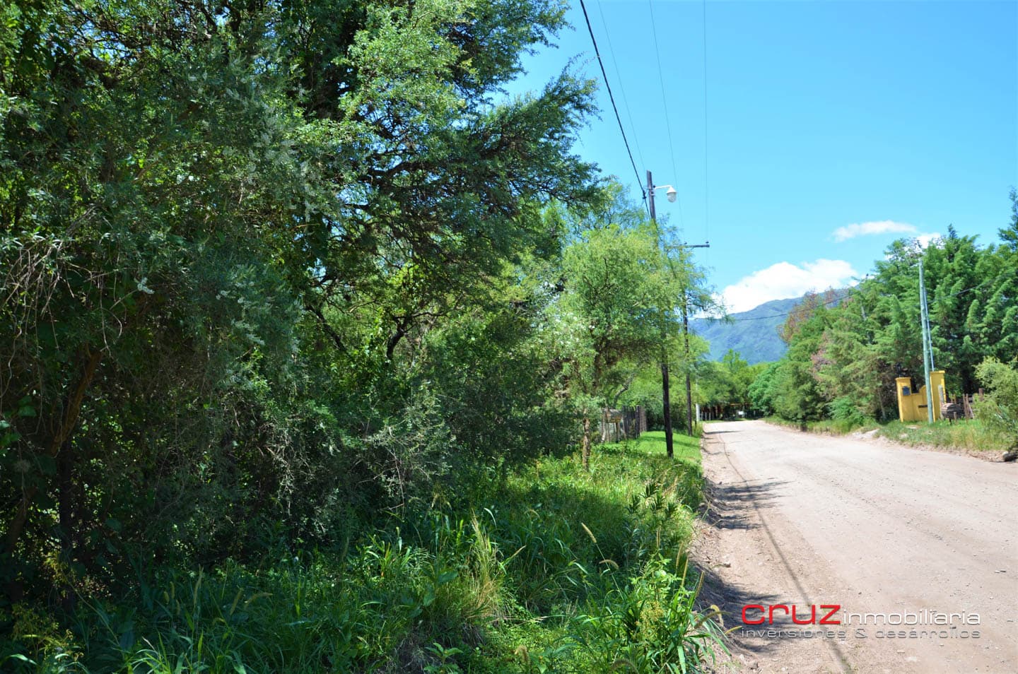 Lote de 2043m2 en Zona Alta de Carpintería - imagen 10