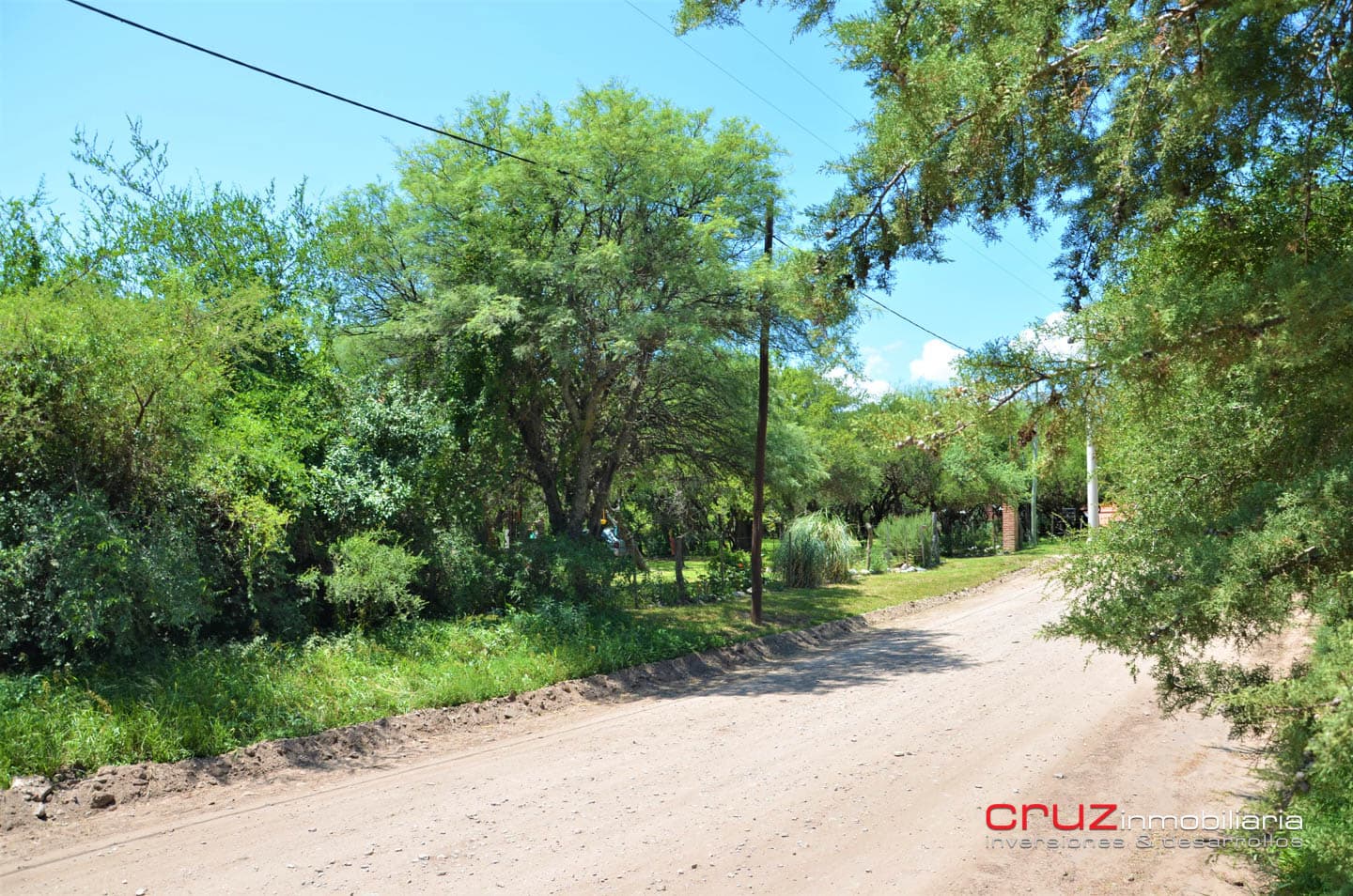 Lote de 1773m2 en Zona Alta de Carpintería - imagen 8