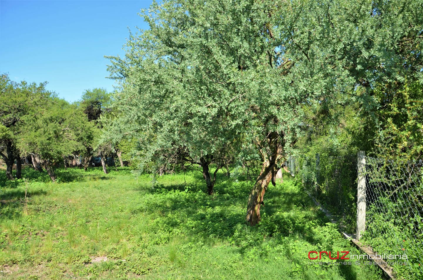 Lote de 1764m2 en Zona Alta de Carpintería - imagen 12