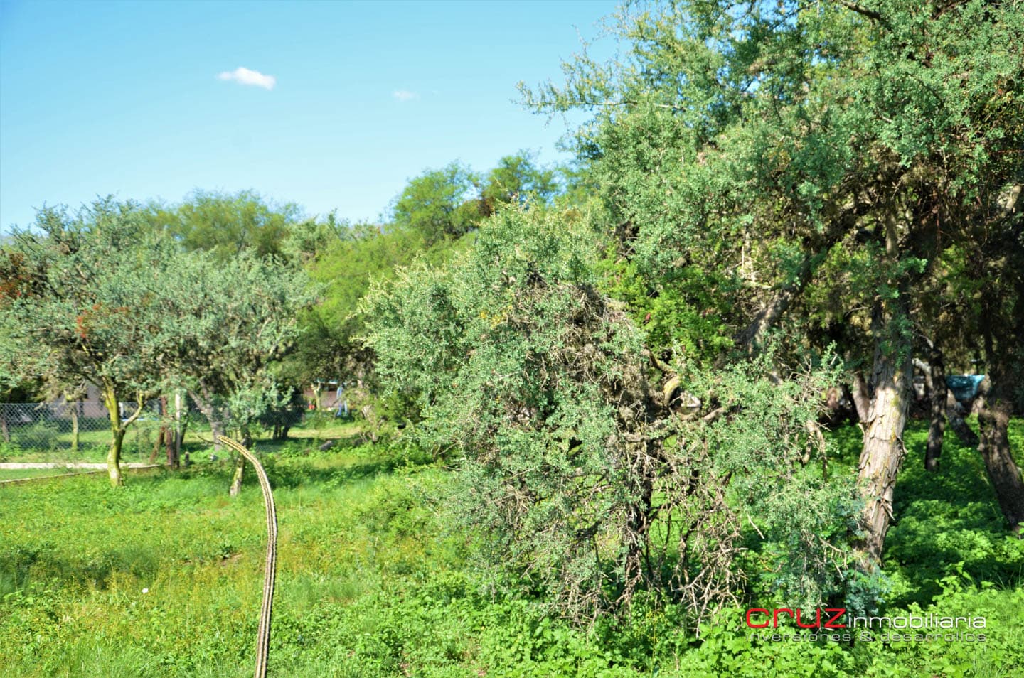 Lote de 1764m2 en Zona Alta de Carpintería - imagen 8