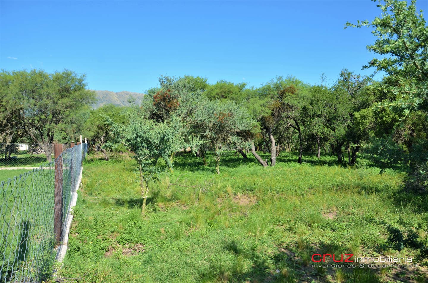 Lote de 1764m2 en Zona Alta de Carpintería - imagen 11