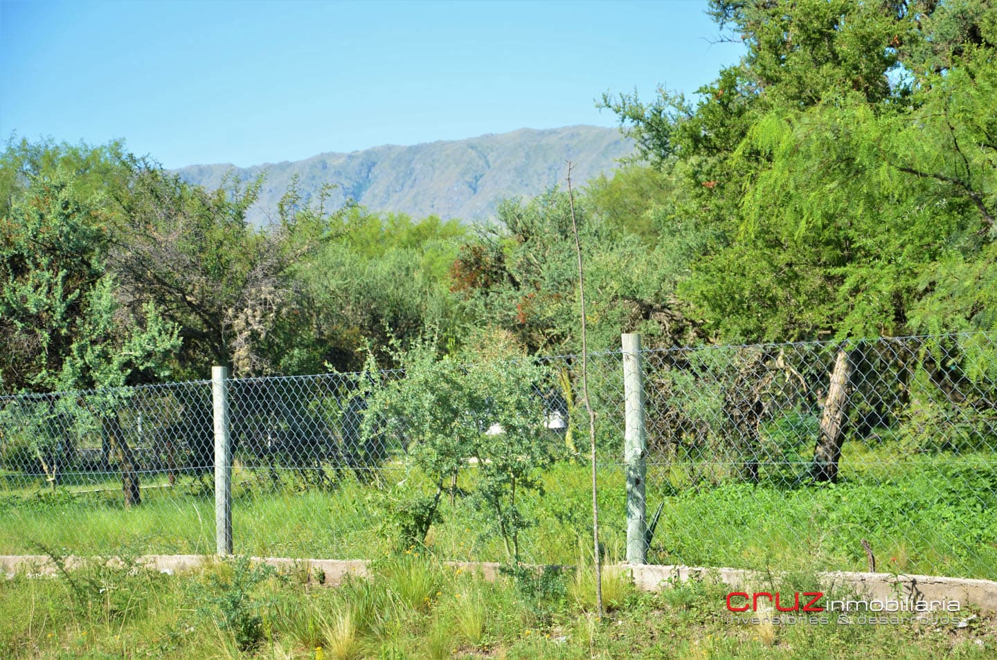 Lote de 1764m2 en Zona Alta de Carpintería - imagen 9