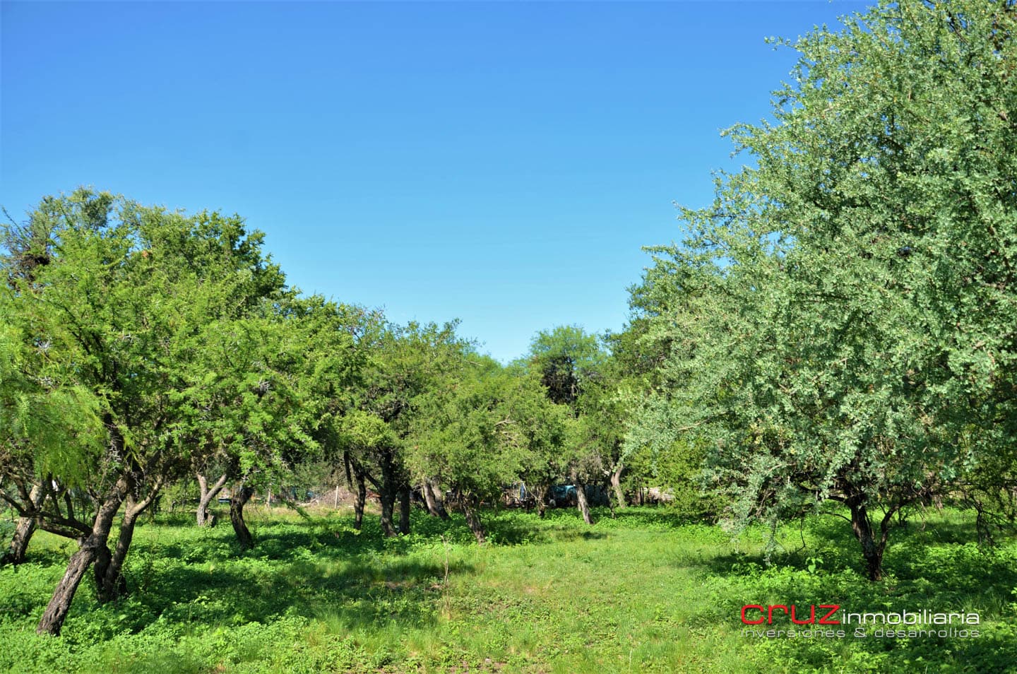 Lote de 1764m2 en Zona Alta de Carpintería - imagen 4