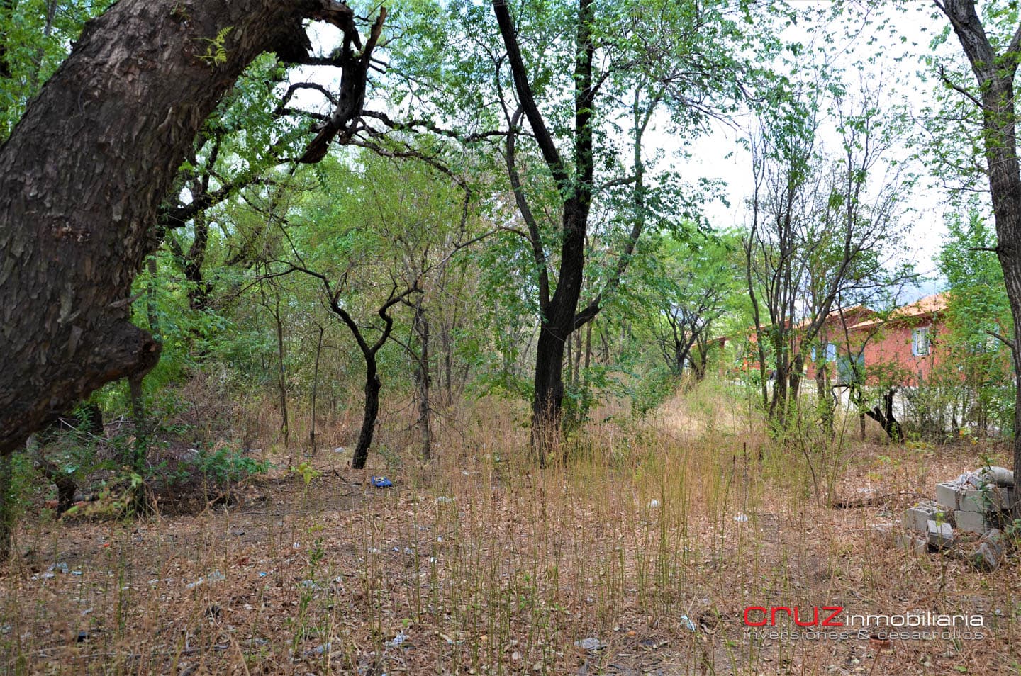 Lote Comercial de 1500m2 sobre Av. Norte - imagen 6