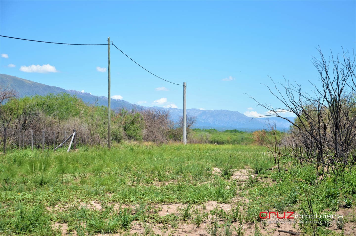 Lotes de 2500m2 en Cerro de Oro - Merlo - imagen 13