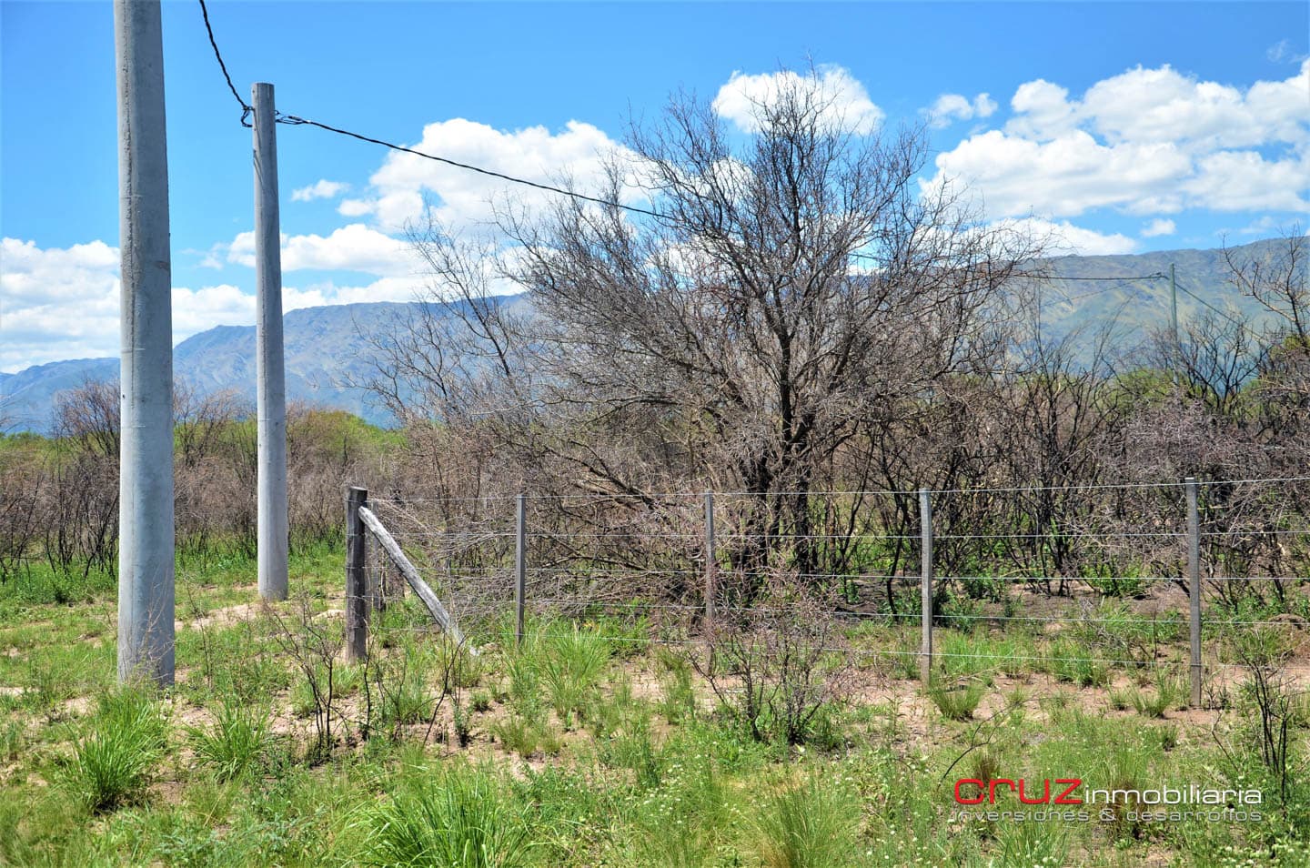 Lotes de 2500m2 en Cerro de Oro - Merlo - imagen 6