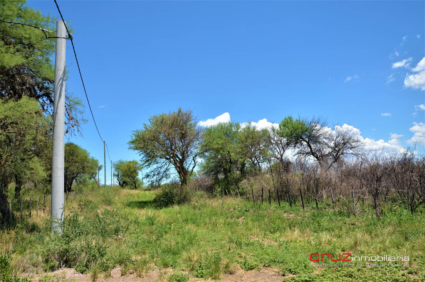 Lotes de 2500m2 en Cerro de Oro - Merlo - imagen 12