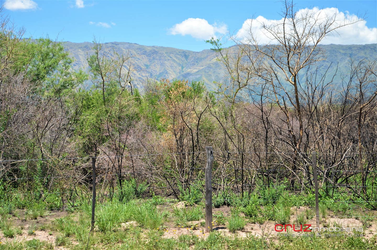 Lotes de 2500m2 en Cerro de Oro - Merlo - imagen 5